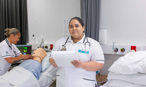 BNM simsuite websize 2